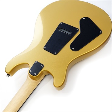 P.R.S. SE CE 24 Standard Satin (Metallic Gold) 画像6