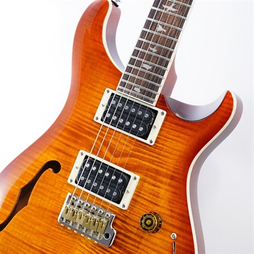 P.R.S. SE Custom 24 Semi-Hollow Piezo (Vintage Sunburst ) 画像3