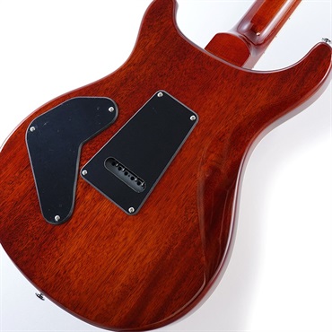 P.R.S. SE Custom 24 Semi-Hollow Piezo (Vintage Sunburst ) 画像7