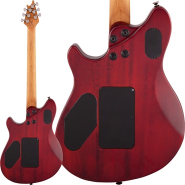EVH Wolfgang WG Standard Exotic Spalted Maple (Natural/Baked Maple) 画像1