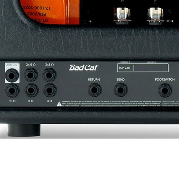 Bad Cat JET BLACK Compact Head（バッドキャット）） 画像6