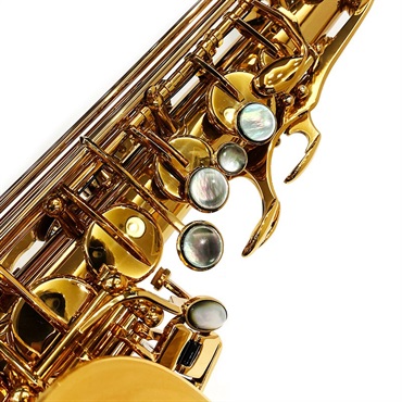 EASTMAN アルトサックス イーストマン EAS652GL 【調整&セットアップ後出荷】【5年間キーバランス調整無料】 画像2