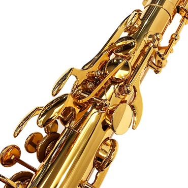 EASTMAN アルトサックス イーストマン EAS652GL 【調整&セットアップ後出荷】【5年間キーバランス調整無料】 画像3
