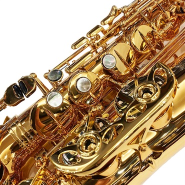 EASTMAN アルトサックス イーストマン EAS652GL 【調整&セットアップ後出荷】【5年間キーバランス調整無料】 画像4
