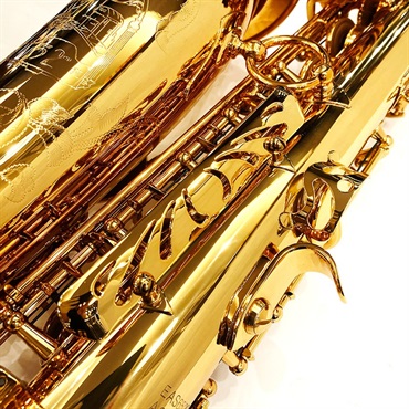 EASTMAN アルトサックス イーストマン EAS652GL 【調整&セットアップ後出荷】【5年間キーバランス調整無料】 画像5