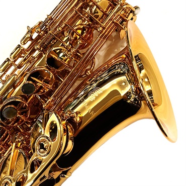 EASTMAN アルトサックス イーストマン EAS652GL 【調整&セットアップ後出荷】【5年間キーバランス調整無料】 画像7
