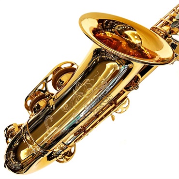 EASTMAN アルトサックス イーストマン EAS652GL 【調整&セットアップ後出荷】【5年間キーバランス調整無料】 画像8
