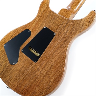 P.R.S. 40th Anniversary Custom 24 Limited Edition (Tiger Eye) SN.0395782 画像7