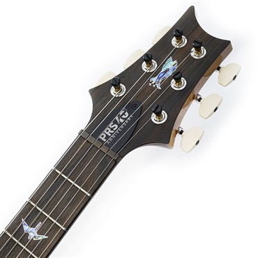 P.R.S. 40th Anniversary Custom 24 Limited Edition (Tiger Eye) SN.0395782 画像8