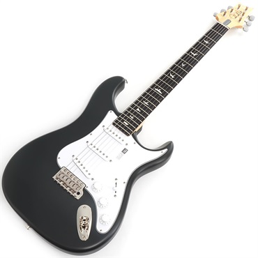 P.R.S. Silver Sky Rosewood (Faded Black Tee Satin) 画像1