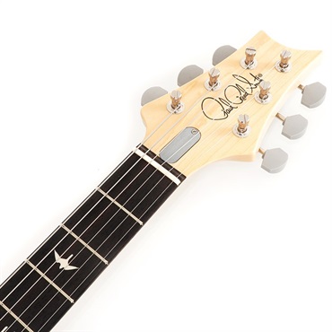 P.R.S. Silver Sky Rosewood (Faded Black Tee Satin) 画像6