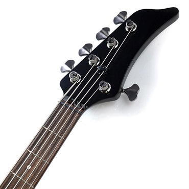 EVO EVO BASS B0101Z-5  Chemical Polishing Aguilar LTD 画像8