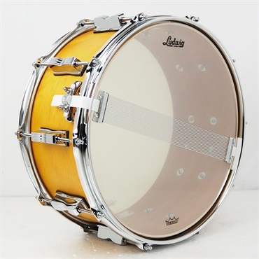 Ludwig LSN364XXPG [NeuSonic Snare Drum 14×6.5 / Satin Golden Slumbers] 画像4