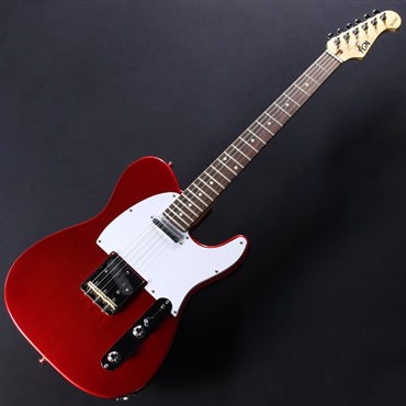 FUJIGEN BCTE100RBD (CAR/R) 画像1
