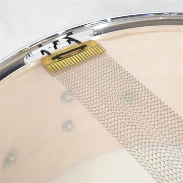 CANOPUS 【値下げしました！】MMT-1465 [Mel Taylor Signature Snare Drum 14''×6.5'']【店頭展示特価品】 画像6