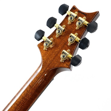 P.R.S. Ikebe Original Wood Library Custom24 McCarty Thickness Espresso #0340061 2022年生産品 画像9