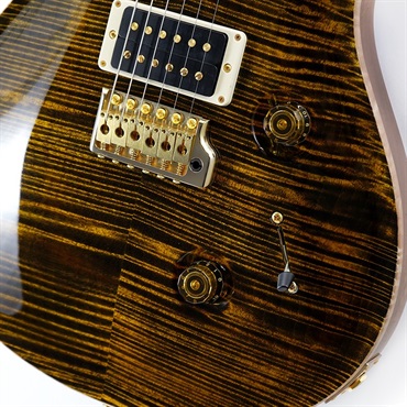 P.R.S. Ikebe Original Wood Library Custom24 McCarty Thickness Tiger Eye #0319732 2022年生産品 画像4