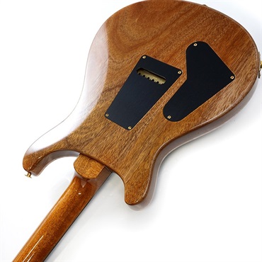 P.R.S. Ikebe Original Wood Library Custom24 McCarty Thickness Tiger Eye #0319732 2022年生産品 画像6