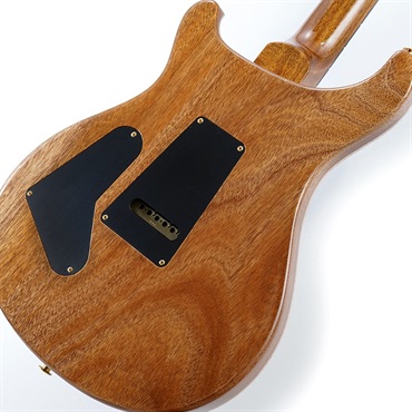 P.R.S. Ikebe Original Wood Library Custom24 McCarty Thickness Tiger Eye #0319732 2022年生産品 画像7