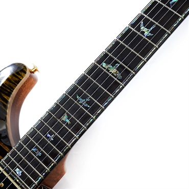 P.R.S. Ikebe Original Wood Library Custom24 McCarty Thickness Tiger Eye #0319732 2022年生産品 画像10