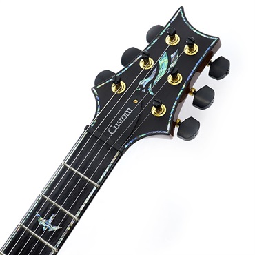 P.R.S. Ikebe Original Wood Library Custom24 McCarty Thickness Tiger Eye #0340354 2022年生産品 画像8