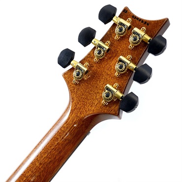 P.R.S. Ikebe Original Wood Library Custom24 McCarty Thickness Tiger Eye #0340354 2022年生産品 画像9