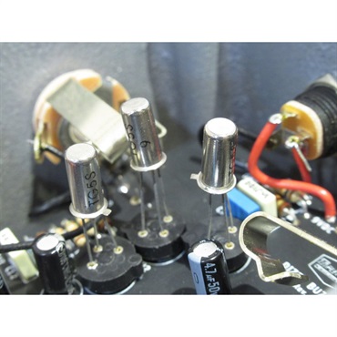Tru-Fi Dizzy Buzz 画像4