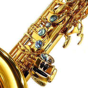 Brasspire Unicorn テナーサックス ブラスパイアー・ユニコーン BPT1-GL 【調整&セットアップ後出荷】【5年間キーバランス調整無料】【夏先取り大特価セール】【夏先取り大特価セール】 画像3