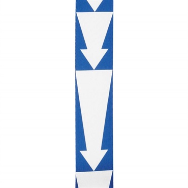 D’Addario 【夏先取り大特価セール】Beatles Guitar Strap [1964 US Tour Ed Sullivan Stage/50BTL12] 画像1