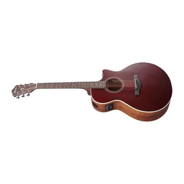 Ibanez 【夏のボーナスセール】【本数限定特価】AE100-BUF 画像1