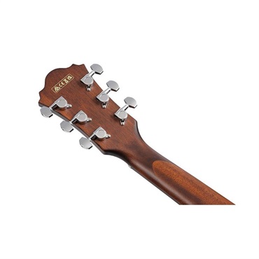 Ibanez 【夏のボーナスセール】【本数限定特価】AE100-BUF 画像4