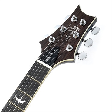 P.R.S. SE Hollowbody Standard (McCarty Tobacco Sunburst) SN.CTC E31247 【2021年生産モデル】 画像8