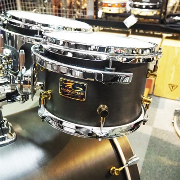 CANOPUS USED 中古 R.F.M. 4pc Set [Reinforcement Maple/22BD.10TT.12TT.16FT] 画像3