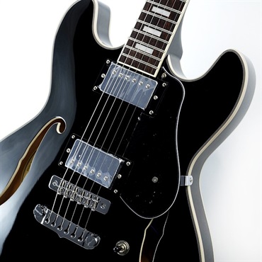 Aria ProII TA-200 BK (Black) 画像3