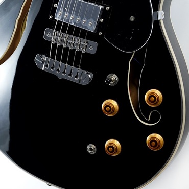 Aria ProII TA-200 BK (Black) 画像4