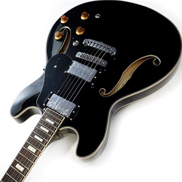 Aria ProII TA-200 BK (Black) 画像5