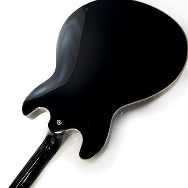 Aria ProII TA-200 BK (Black) 画像6