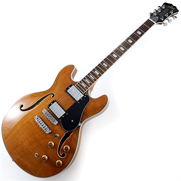 Aria ProII TA-200 MH (Mahogany) 画像1