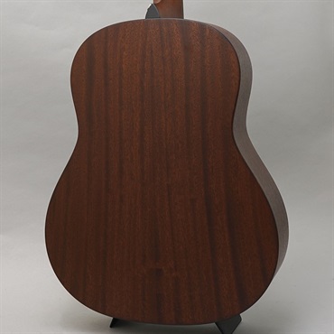 TAYLOR AD27 w/Element VTC テイラー 画像1