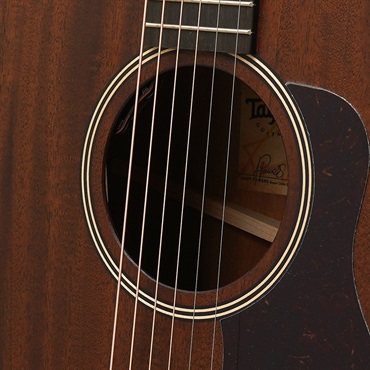 TAYLOR AD27 w/Element VTC テイラー 画像6