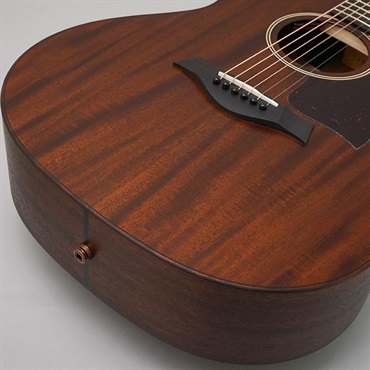 TAYLOR AD27 w/Element VTC テイラー 画像7
