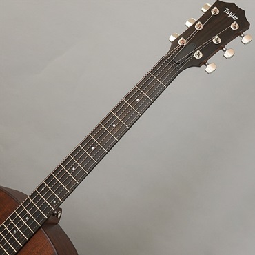 TAYLOR AD27 w/Element VTC テイラー 画像8