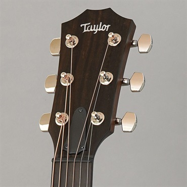 TAYLOR AD27 w/Element VTC テイラー 画像10