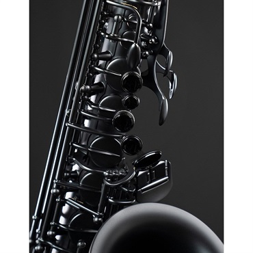 Selmer Paris 【限定モデル】テナーサックス セルマー Supreme シュプレーム 2025 Limited Edition マットブラックラッカー 【調整&セットアップ後出荷】【5年間キーバランス調整無料】 画像5