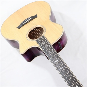 TAYLOR 【夏のボーナスセール】Custom-GA C14ce B4008 [NAMM2024 Model] テイラー 画像4
