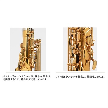 Selmer Paris 【神保佳祐氏選定品】アルトサックス セルマー Supreme シュプレーム DGL(ダークゴールドラッカー)【選定料サービス!!】 【調整&セットアップ後出荷】【5年間キーバランス調整無料】 画像3