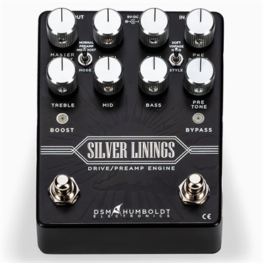 DSM & HUMBOLDT ELECTRONICS 【箱ボロ特価】 SILVER LININGS 画像4