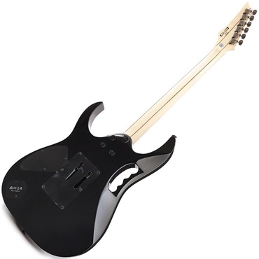 Ibanez JEM77P-BFP (Blue Floral Pattern) [Steve Vai Model] 【特価】 画像2