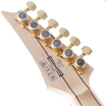 Ibanez Axe Design Lab SML721-RGC【特価】 画像7