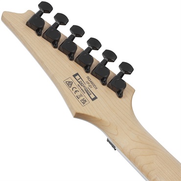 Ibanez RG460DX-BLH (Blue Haze) [Limited Model] 画像5